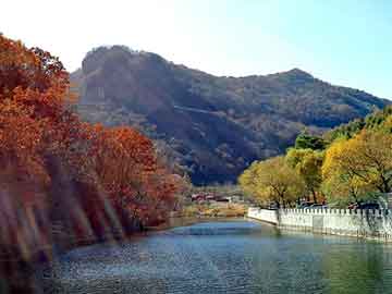 澳门天天彩期期精准平肖，丰田海拉克斯